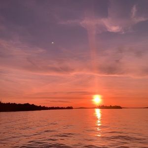 Meet your Posher, Shelby